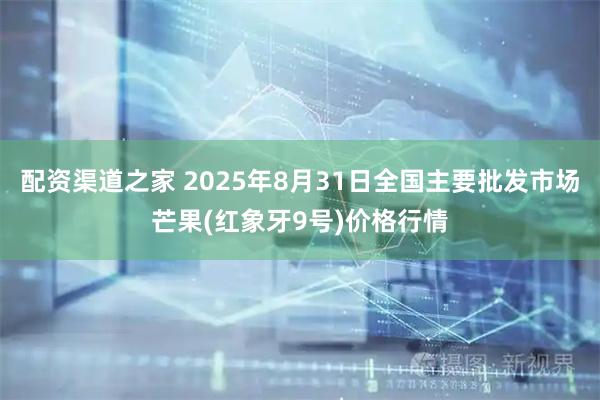 配资渠道之家 2025年8月31日全国主要批发市场芒果(红象牙9号)价格行情