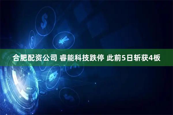 合肥配资公司 睿能科技跌停 此前5日斩获4板